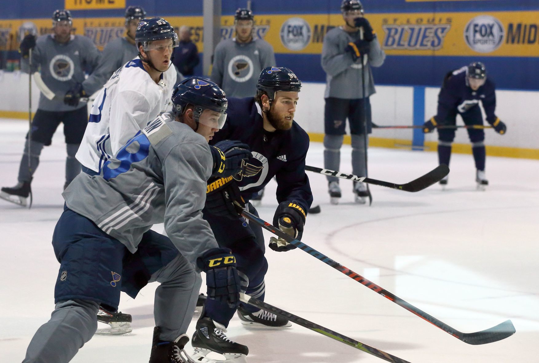 St. Louis Blues 2018-19 training camp